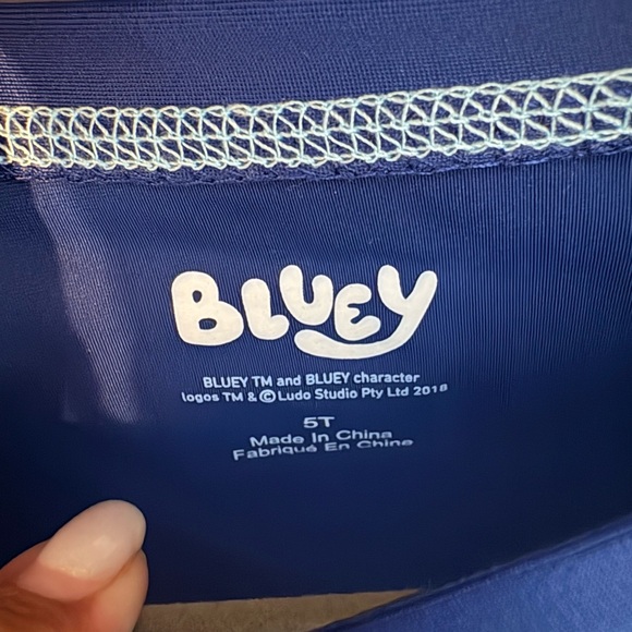 BUY NOW BUNDLE Bluey Rash guard Swim Set NWT - Picture 3 of 7